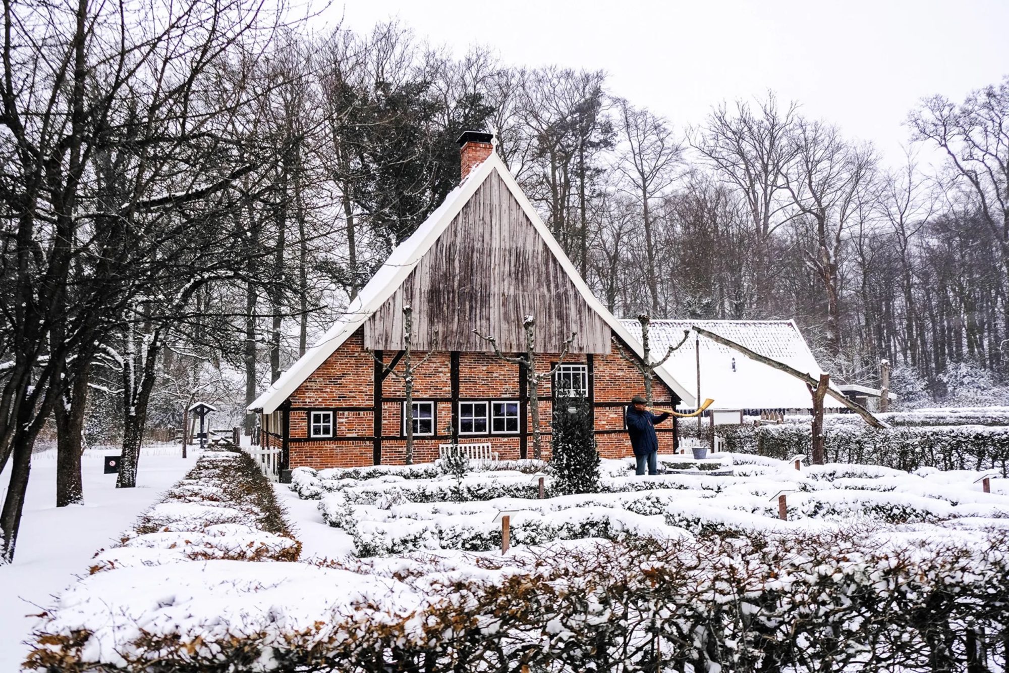 Twente Midwinterhoorn walk